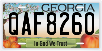 GA license plate QAF8260