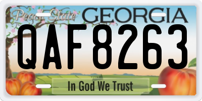 GA license plate QAF8263