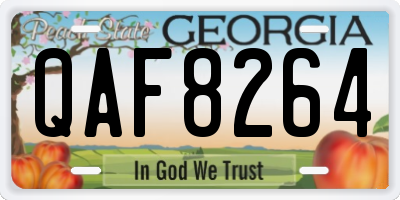 GA license plate QAF8264