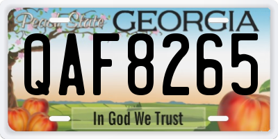 GA license plate QAF8265