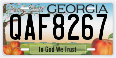 GA license plate QAF8267