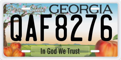 GA license plate QAF8276
