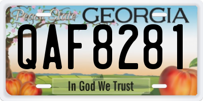 GA license plate QAF8281