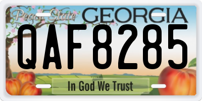 GA license plate QAF8285