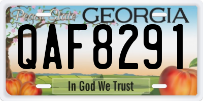 GA license plate QAF8291