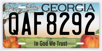 GA license plate QAF8292