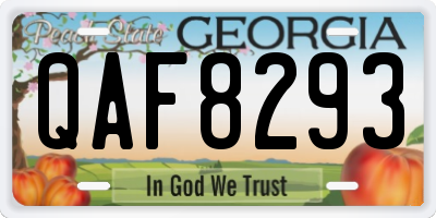 GA license plate QAF8293