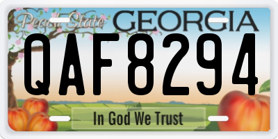 GA license plate QAF8294