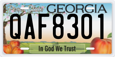 GA license plate QAF8301