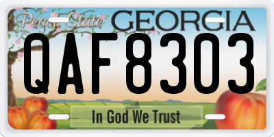 GA license plate QAF8303