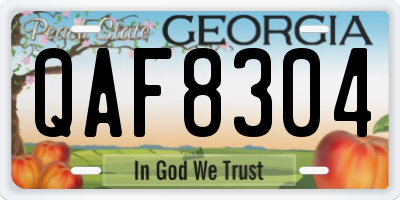 GA license plate QAF8304