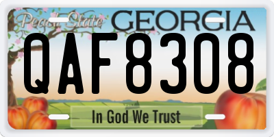 GA license plate QAF8308