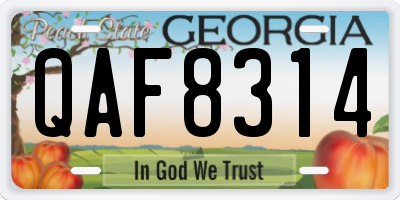GA license plate QAF8314