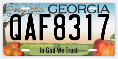GA license plate QAF8317