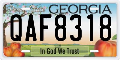 GA license plate QAF8318