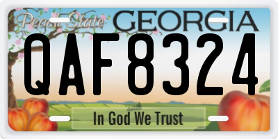 GA license plate QAF8324