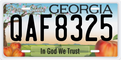 GA license plate QAF8325