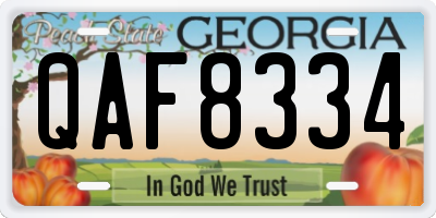 GA license plate QAF8334