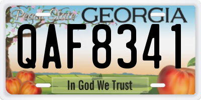 GA license plate QAF8341