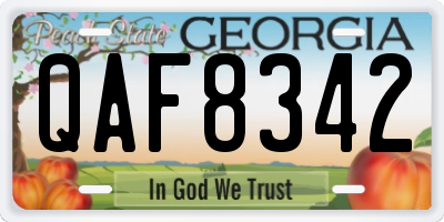 GA license plate QAF8342