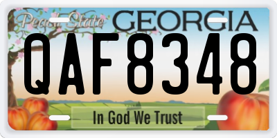 GA license plate QAF8348