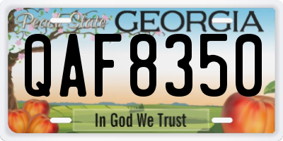 GA license plate QAF8350