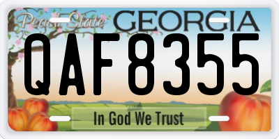 GA license plate QAF8355