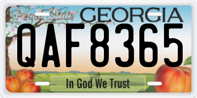 GA license plate QAF8365