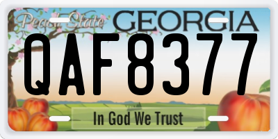 GA license plate QAF8377