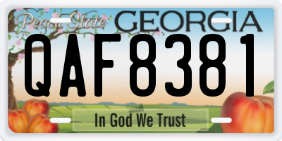 GA license plate QAF8381