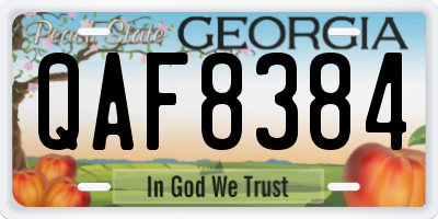 GA license plate QAF8384