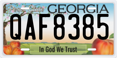 GA license plate QAF8385