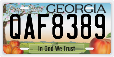 GA license plate QAF8389