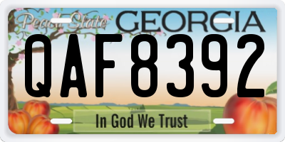GA license plate QAF8392