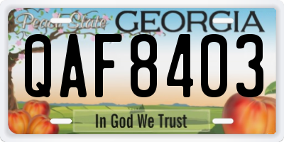GA license plate QAF8403
