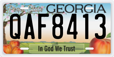 GA license plate QAF8413