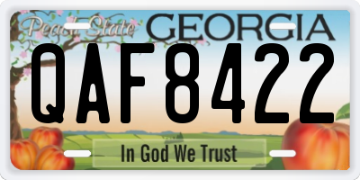 GA license plate QAF8422