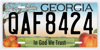 GA license plate QAF8424