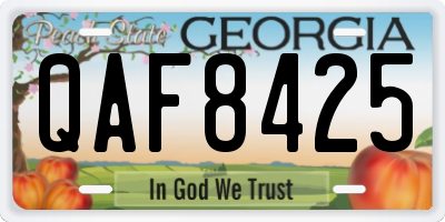 GA license plate QAF8425