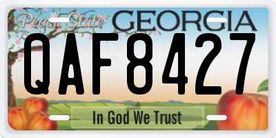 GA license plate QAF8427