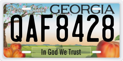 GA license plate QAF8428