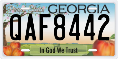 GA license plate QAF8442