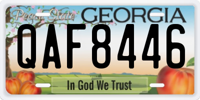 GA license plate QAF8446