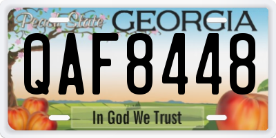 GA license plate QAF8448