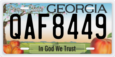 GA license plate QAF8449