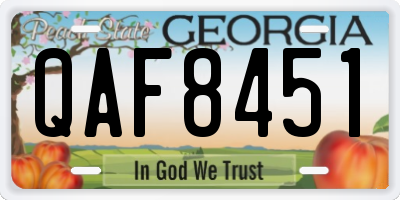 GA license plate QAF8451