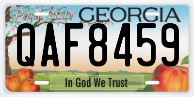 GA license plate QAF8459