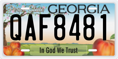 GA license plate QAF8481