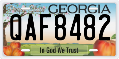 GA license plate QAF8482