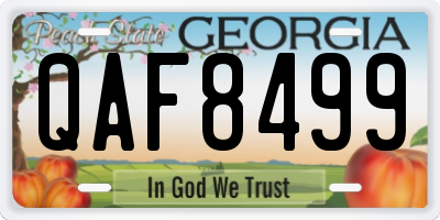 GA license plate QAF8499